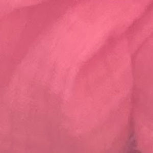 Meet your Posher, Fiona